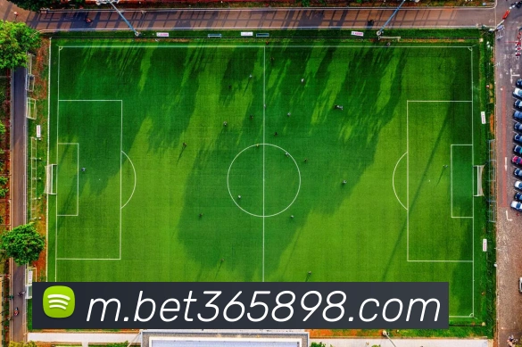 bet365中国官网全站App